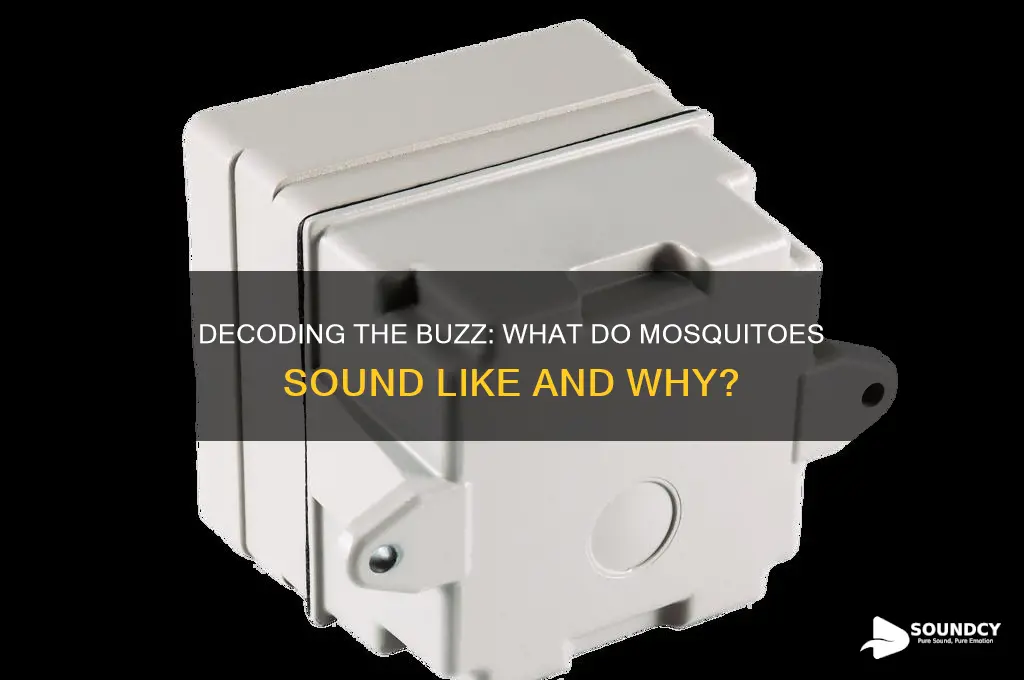 what do mosquitos sound like