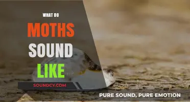 Unveiling the Unique Sounds of Moths: A Comprehensive Auditory Guide