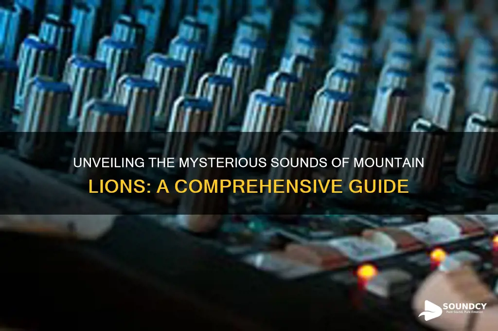what do mountainlions sound like