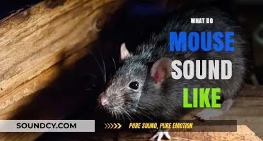 Unveiling the Tiny Squeaks: What Do Mouse Sounds Really Sound Like?