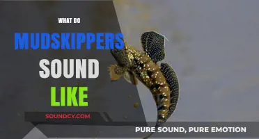 Unveiling the Unique Vocalizations of Mudskippers: What Do They Sound Like?