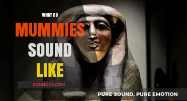 Unraveling the Silence: What Do Mummies Sound Like?