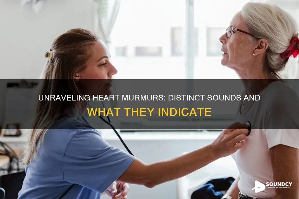 what do murmurs sound like