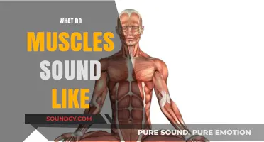 Unveiling the Surprising Acoustic Secrets of Muscles in Motion
