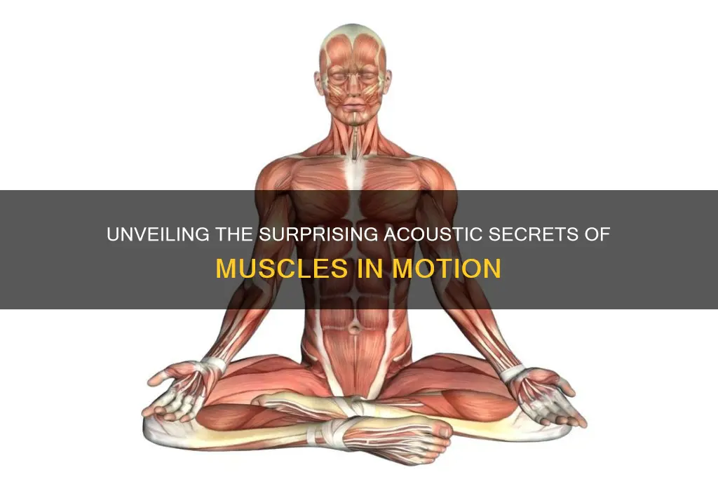 what do muscles sound like