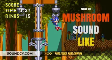 Unveiling the Surprising Sonic World of Mushrooms: What Do They Sound Like?
