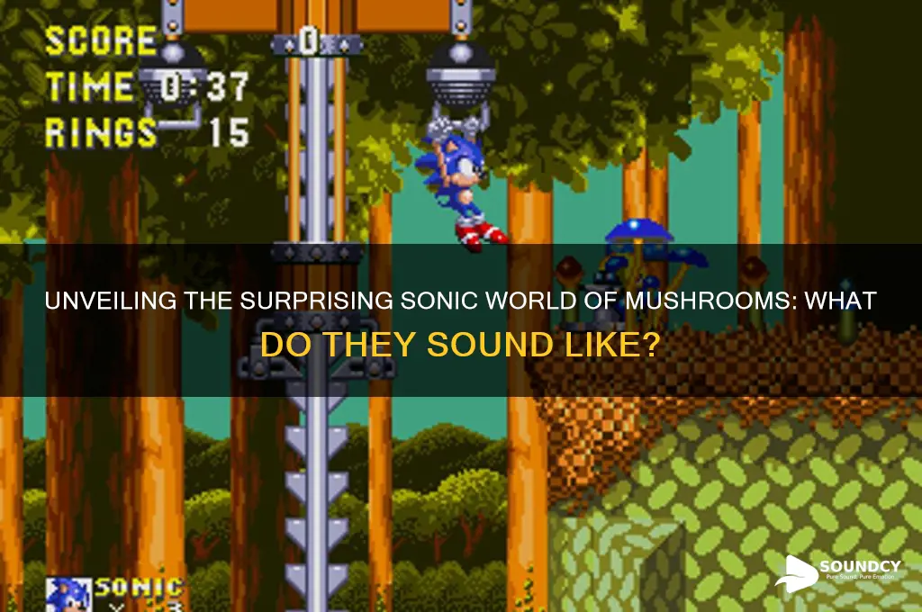 what do mushrooms sound like