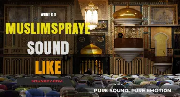 Exploring the Melodic Recitations of Muslim Prayer: A Sonic Journey