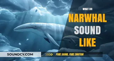 Unveiling the Mystical Sounds of Narwhals: A Deep Dive into Their Vocalizations