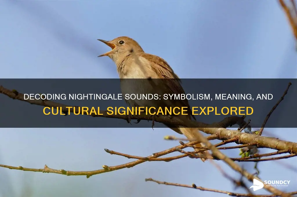 what do nightingale sounds represent