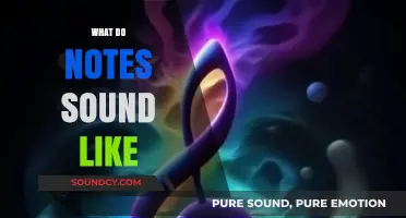 Exploring the Unique Sonic Qualities of Musical Notes and Their Characteristics