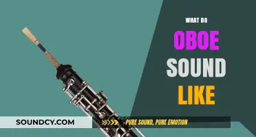 Unveiling the Oboe's Unique Voice: A Sonic Exploration of Its Sound