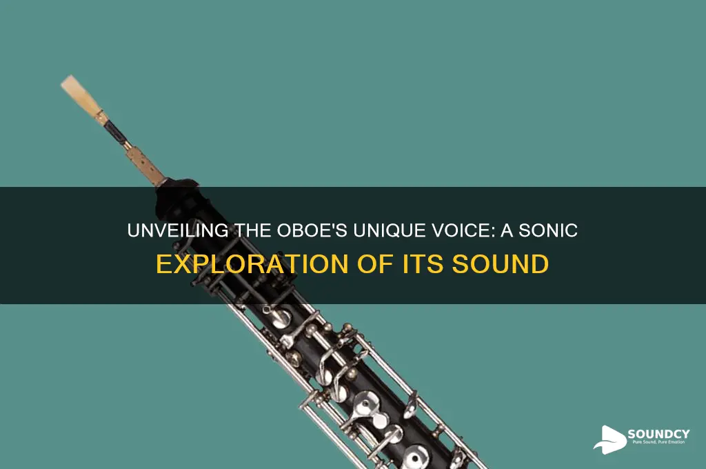 what do oboe sound like