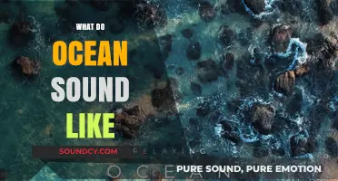 Listening to the Ocean: Unveiling the Mystical Sounds of the Deep Blue