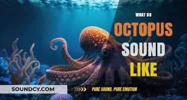Unveiling the Mysterious Sounds of Octopuses: What Do They Sound Like?