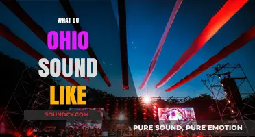 Exploring Ohio's Unique Soundscape: What Does the Buckeye State Sound Like?