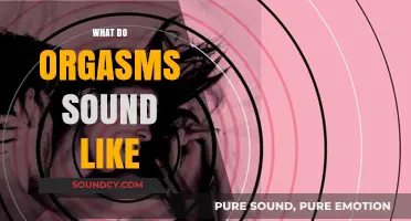 Exploring the Audible Symphony: What Do Orgasms Sound Like?