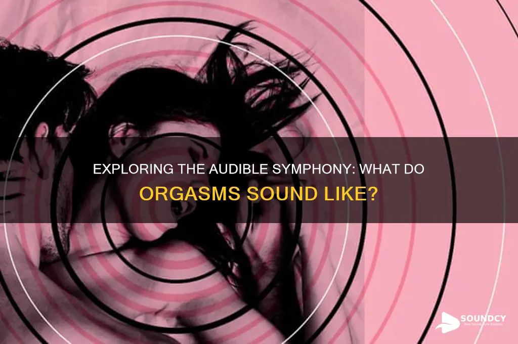 what do orgasms sound like