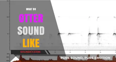 Discover the Unique Vocalizations: What Do Otters Sound Like?