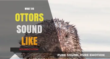 Discover the Unique Vocalizations: What Do Otters Sound Like?