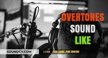 Exploring Overtones: How These Harmonic Layers Shape Music's Richness