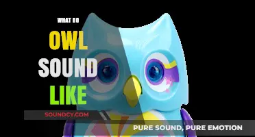 Unveiling the Mysterious Hoots: What Do Owl Sounds Really Mean?