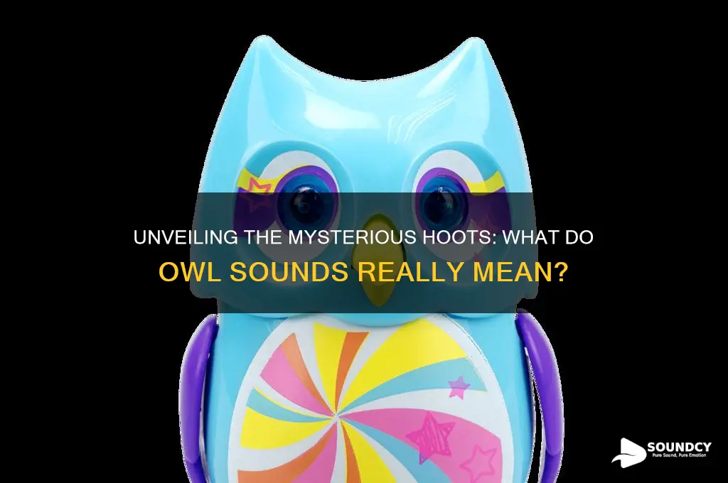 what do owl sound like