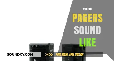 Exploring the Unique Sounds of Pagers: A Nostalgic Audio Journey