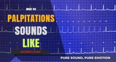 What Do Palpitations Sound Like? Understanding Heart Flutter Noises
