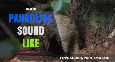 Unveiling the Unique Sounds of Pangolins: A Sonic Exploration