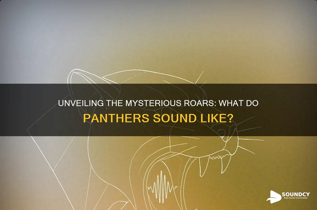 what do panther sound like