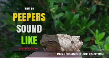 Unveiling the Unique Sounds of Peepers: A Comprehensive Guide