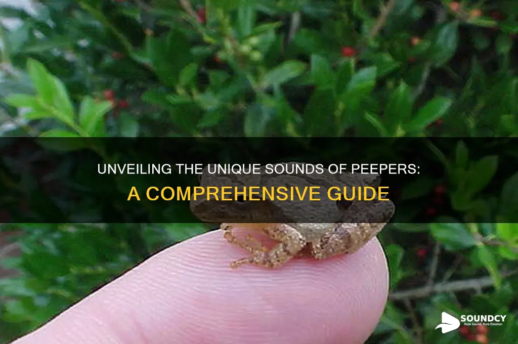 what do peepers sound like