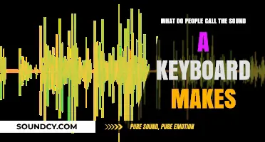 The Unique Symphony: Exploring the Sonic World of Keyboard Typing