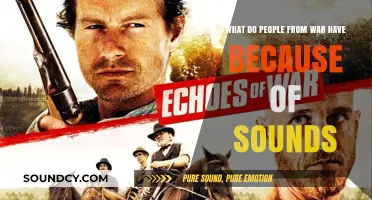 Echoes of Trauma: The Lingering Impact of War's Sonic Assault