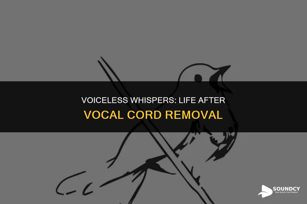 what do people with removed vocal cords sound like