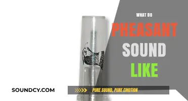 Unveiling the Unique Calls: What Do Pheasants Sound Like?