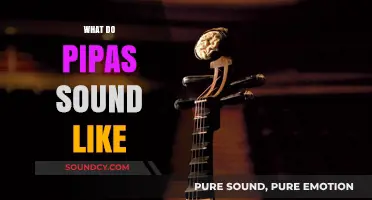 Exploring the Unique Sounds of Pipas: A Musical Journey