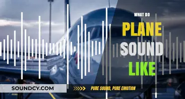 Decoding the Unique Sounds of Airplanes: From Takeoff to Landing