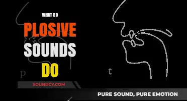 Exploring Plosive Sounds: Their Impact on Speech and Language Clarity