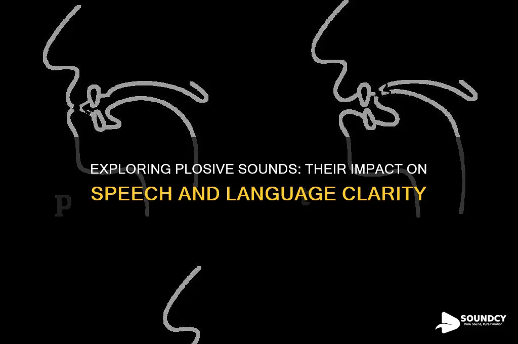 what do plosive sounds do