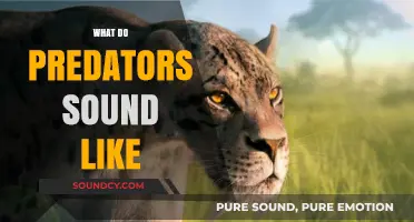 Unveiling the Chilling Sounds of Predators in the Wild