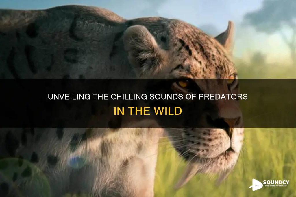 what do predators sound like