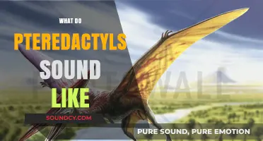 Unveiling the Mystery: What Sounds Did Pterodactyls Make?