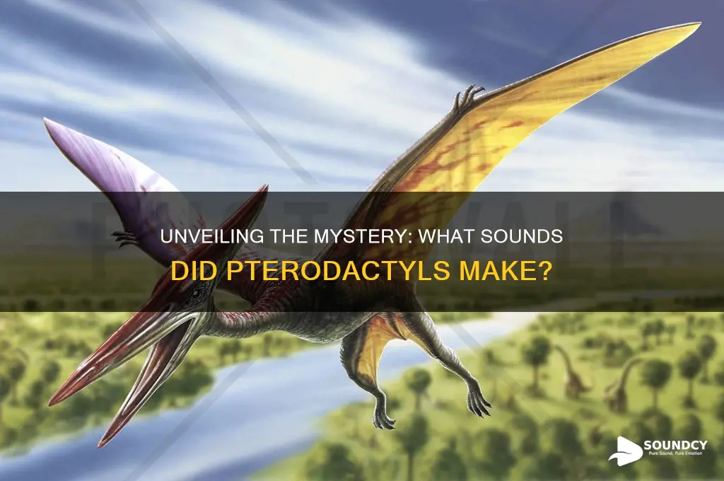 what do pteredactyls sound like