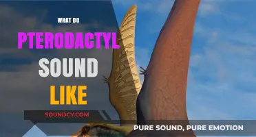 Unveiling the Mystery: What Did Pterodactyls Sound Like?