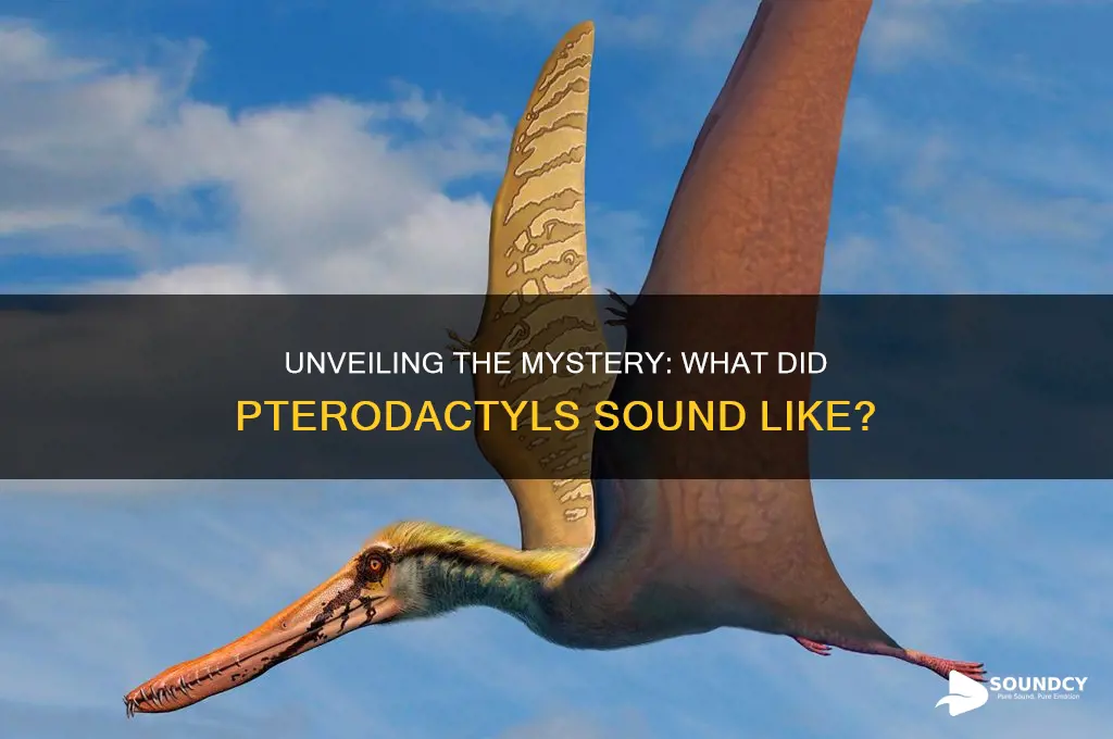 what do pterodactyl sound like