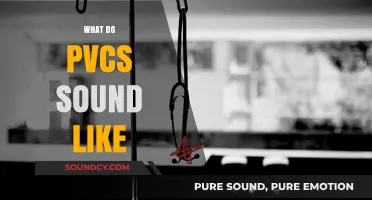 What Do PVCs Sound Like? Understanding Heart Palpitations and Abnormal Beats
