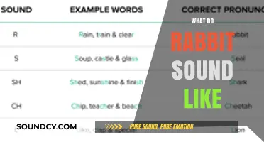 Unveiling the Unique Sounds Rabbits Make: A Comprehensive Guide