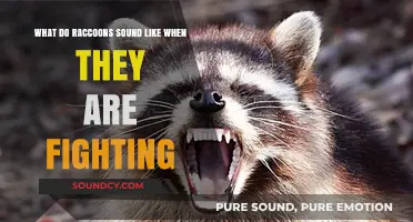 Decoding Raccoon Vocalizations: The Sounds of Squabbles and Scuffles